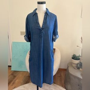 Chambray Dress